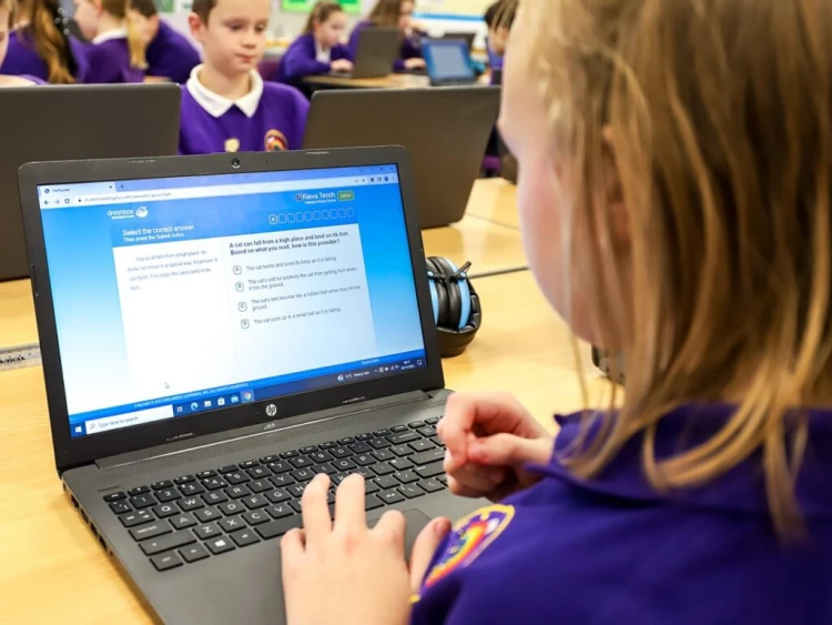 Pupil using a laptop