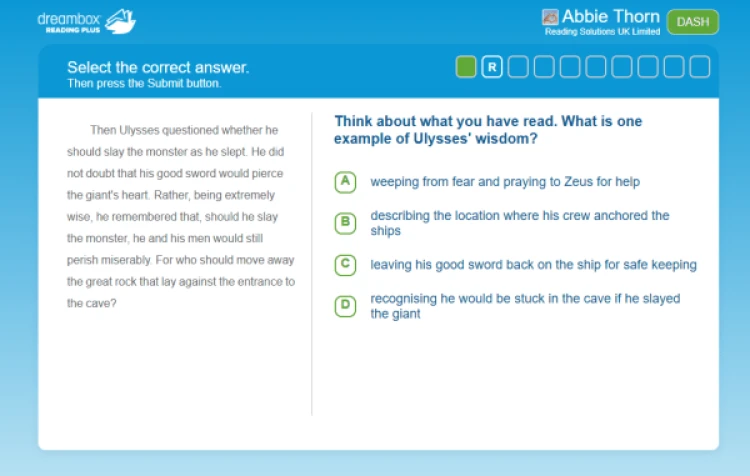 Reading Plus question example