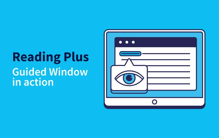 Guided Window video